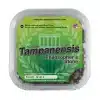 tampanensis_truffels kopen