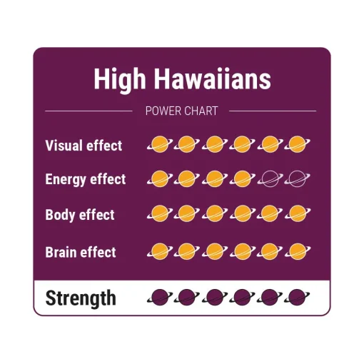 High Hawaiians - Afbeelding 3
