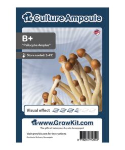 B Plus Magic Mushroom - Culture Ampoule Set