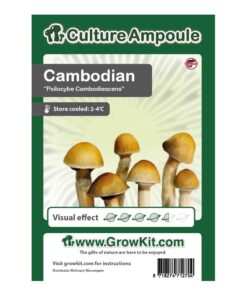 Cambodian Magic Mushroom - Culture Ampoule Set