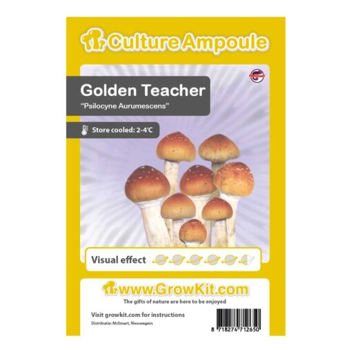 Golden Teacher - Magic Mushroom Culture Ampoule Set