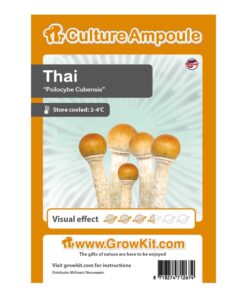 Thai Magic Mushroom - Culture Ampoule Set
