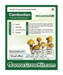 Cambodian Magic Mushroom Growkit - 2100 cc