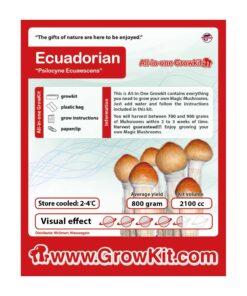 Ecuadorian Magic Mushroom Growkit - 2100 cc