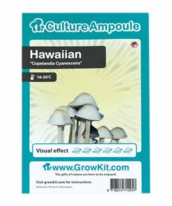 Hawaiian Magic Mushroom - Culture Ampoule Set