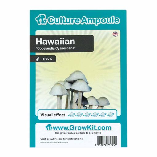 Hawaiian Magic Mushroom - Culture Ampoule Set