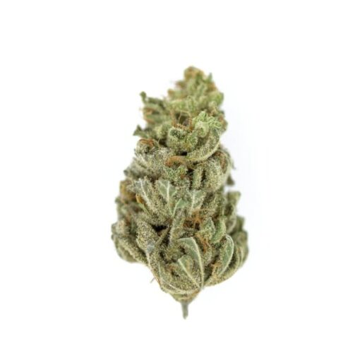 Royal Queen Seeds Amnesia Haze - Afbeelding 3