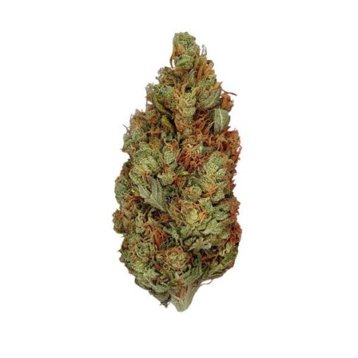 Royal Queen Seeds Green Gelato - Afbeelding 3