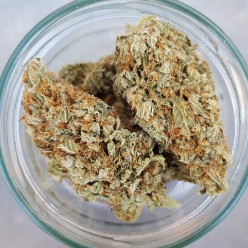 Royal Queen Seeds Green Gelato - Afbeelding 11