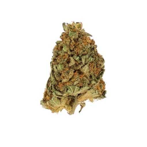 Royal Queen Seeds Northern Light - Afbeelding 3