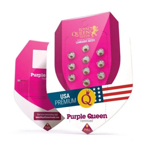 Royal Queen Seeds Purple Queen - Afbeelding 2