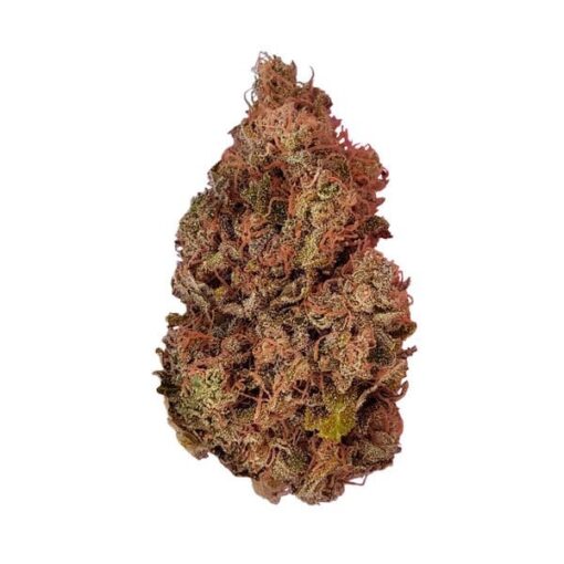 Royal Queen Seeds Purple Queen - Afbeelding 4