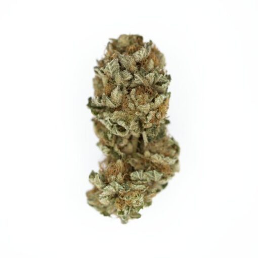 Royal Queen Seeds Royal Cookies “Girl scout cookies” - Afbeelding 4
