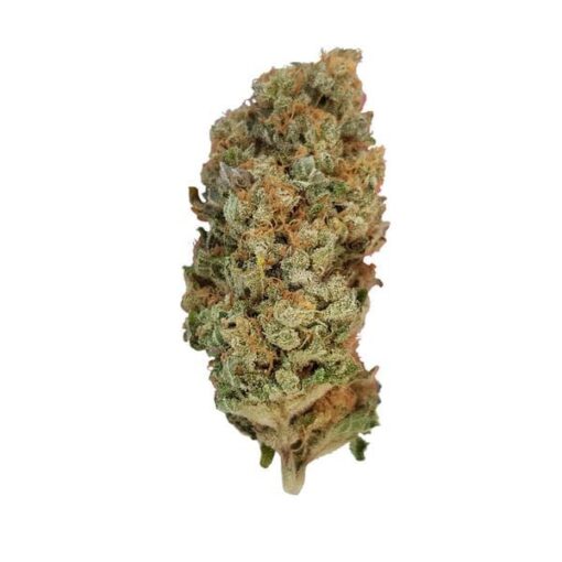 Royal Queen Seeds Special Queen - Afbeelding 3