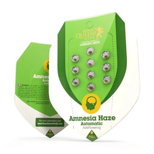 Royal Queen Seeds Amnesia Haze Auto - Afbeelding 2