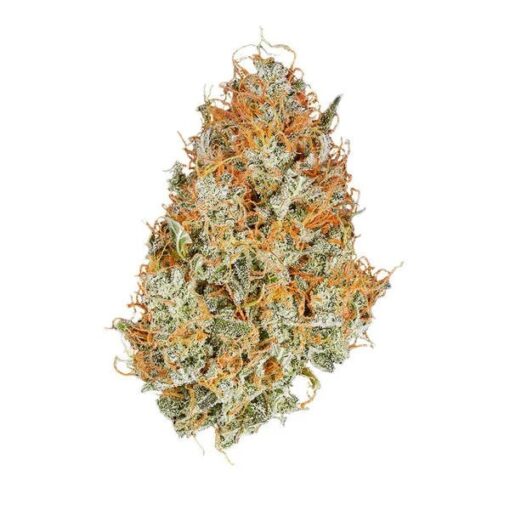Royal Queen Seeds Amnesia Haze Auto - Afbeelding 4