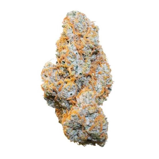 Royal Queen Seeds Apple Fritter Auto - Afbeelding 3