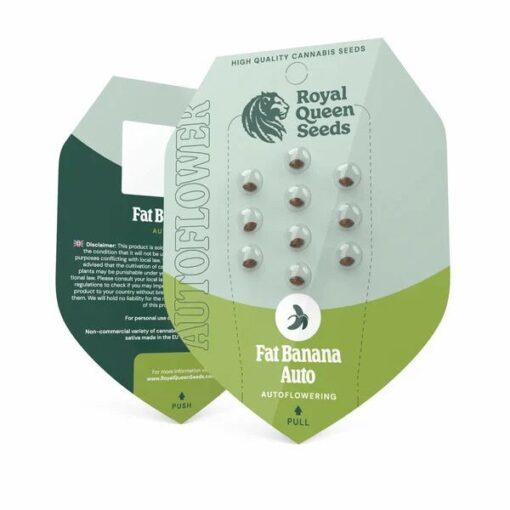 Royal Queen Seeds Fat Banana Auto - Afbeelding 2