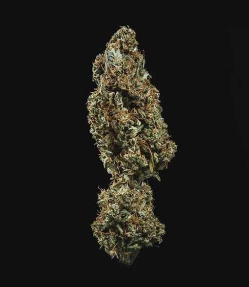Royal Queen Seeds Fat Banana Auto - Afbeelding 9