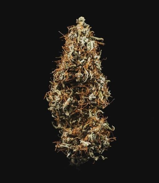 Royal Queen Seeds Hulkberry Auto - Afbeelding 6
