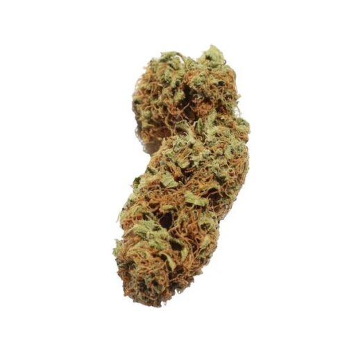 Royal Queen Seeds Northern Light Auto - Afbeelding 4
