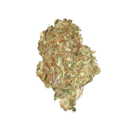 Royal Queen Seeds Quick One Auto - Afbeelding 4
