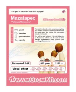 Mazatapec Magic Mushroom Growkit - 2100 cc