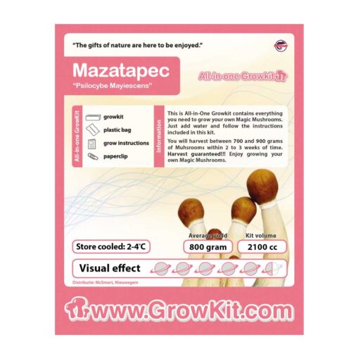 Mazatapec Magic Mushroom Growkit - 2100 cc