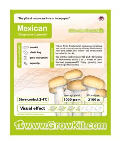 Mexican Magic Mushroom Growkit - 2100 cc