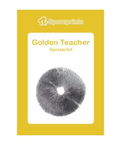 Golden Teacher Magic Mushroom Sporeprint