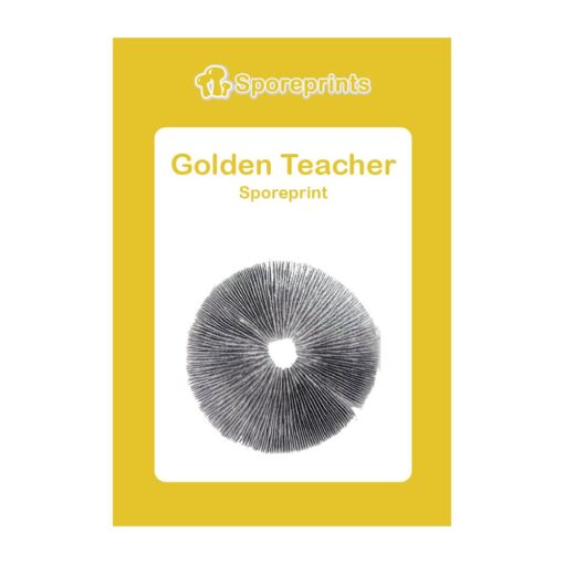 Golden Teacher Magic Mushroom Sporeprint