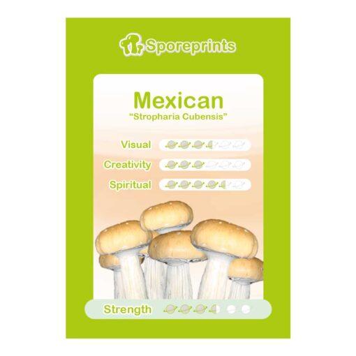 Mexican Magic Mushroom Sporeprint - Afbeelding 2