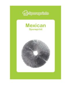 Mexican Magic Mushroom Sporeprint