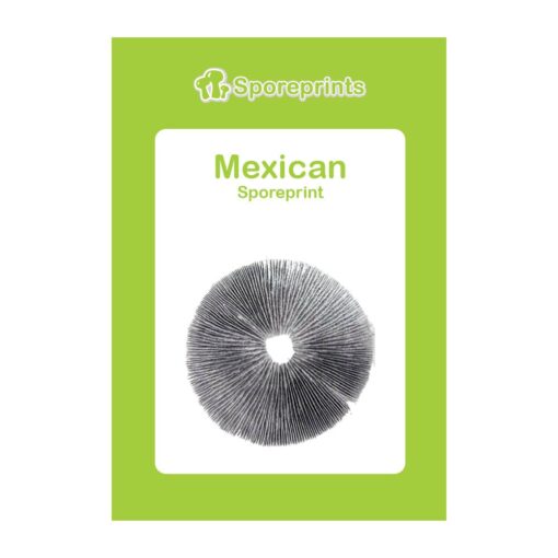Mexican Magic Mushroom Sporeprint