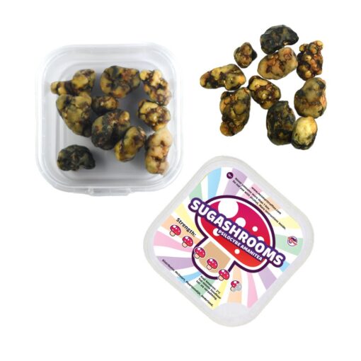 SugaShrooms Magic Truffels - 25 gram - Afbeelding 2
