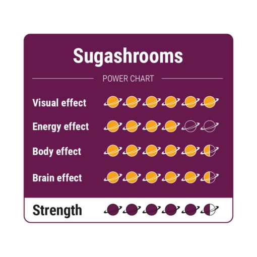 SugaShrooms Magic Truffels - 25 gram - Afbeelding 4
