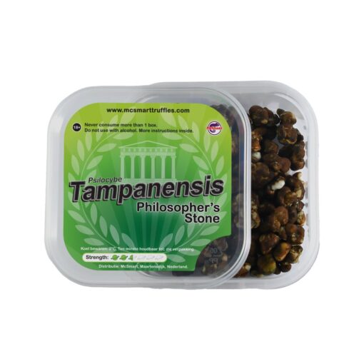 Tampanensis Magic Truffels - 15 gram - Afbeelding 3