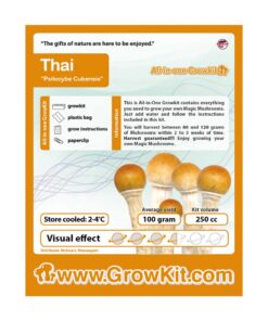 Thai Magic Mushroom Growkit - 250 cc